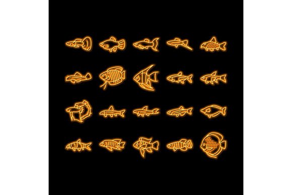 Discover the Beauty of Aquarium Fish Tropical Animal Neon Glow